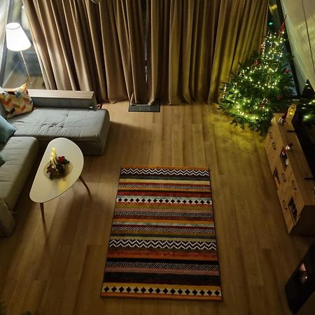 Willa Aret House Avrig Zewnętrze zdjęcie