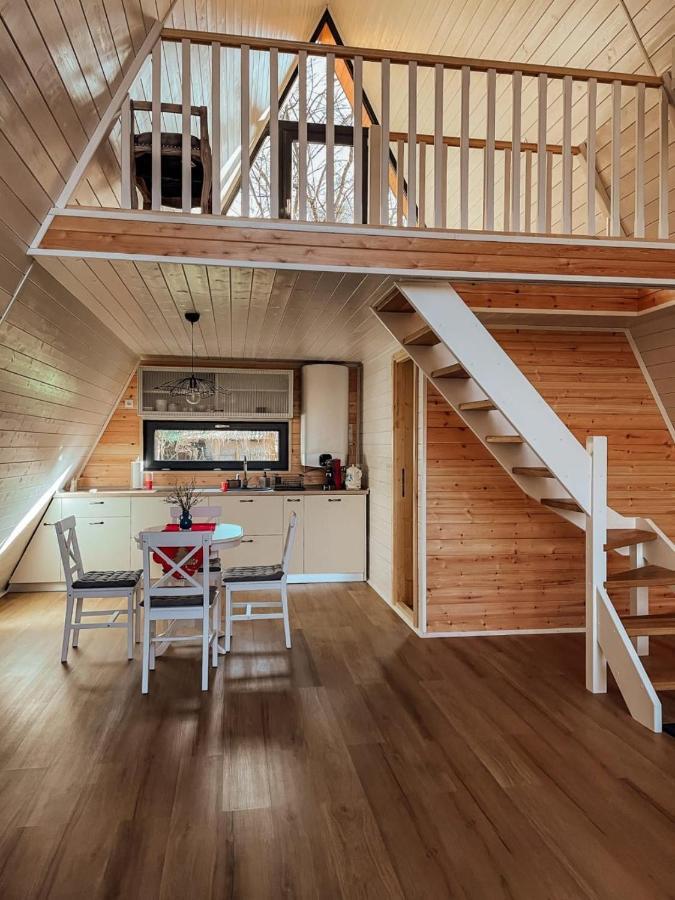 Willa Aret House Avrig Zewnętrze zdjęcie