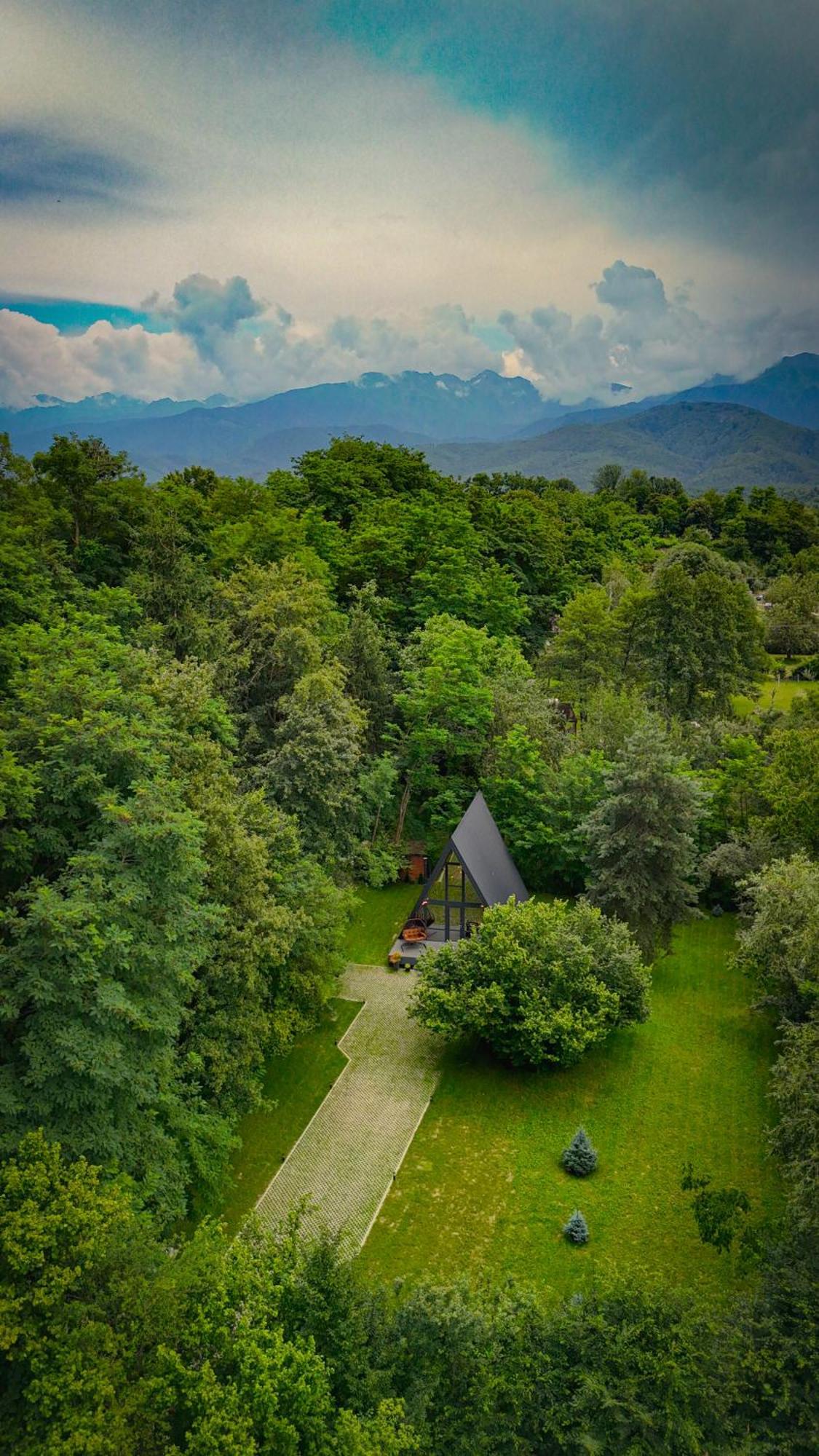 Willa Aret House Avrig Zewnętrze zdjęcie